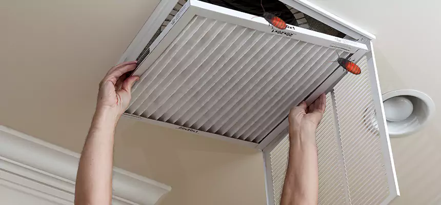 Preventive Cockroach-Proofing for Ducts in Dunwoody