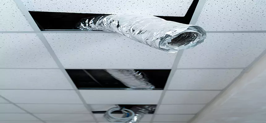 Affordable HVAC Sanitizing After Pest Removal in Dunwoody