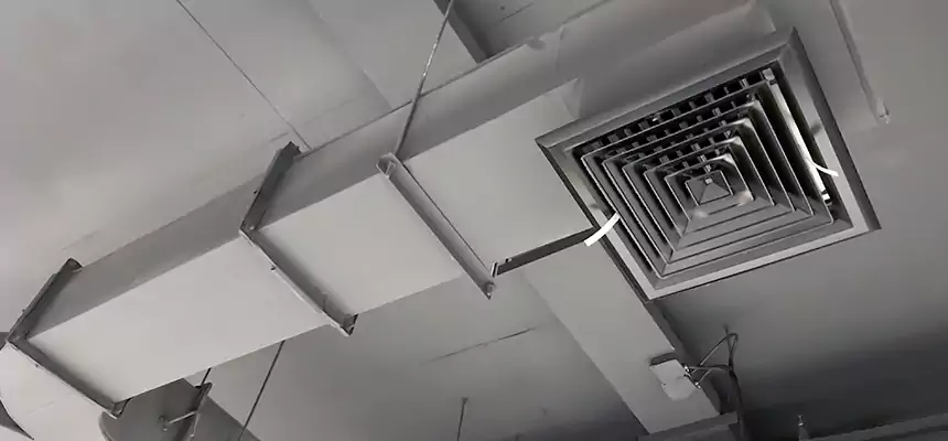 Restorative Allergy Relief Vent Cleaning – Coil, Blower & Housing Detail in Dunwoody