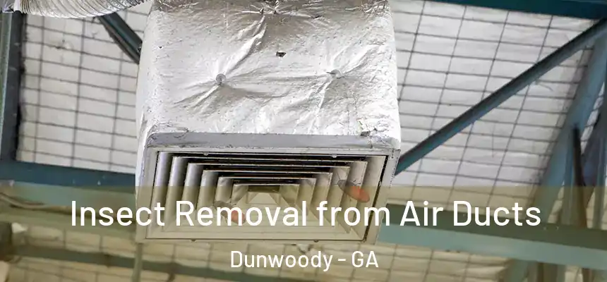  Insect Removal from Air Ducts Dunwoody - GA