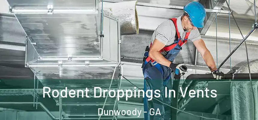  Rodent Droppings In Vents Dunwoody - GA