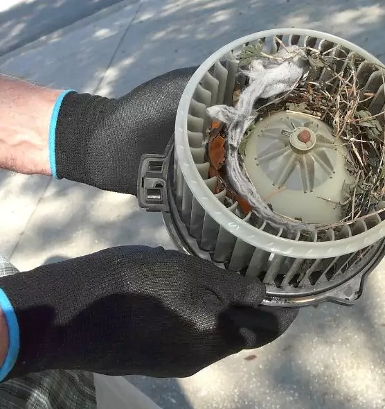 About Air Duct Mice Removal in Dunwoody, GA