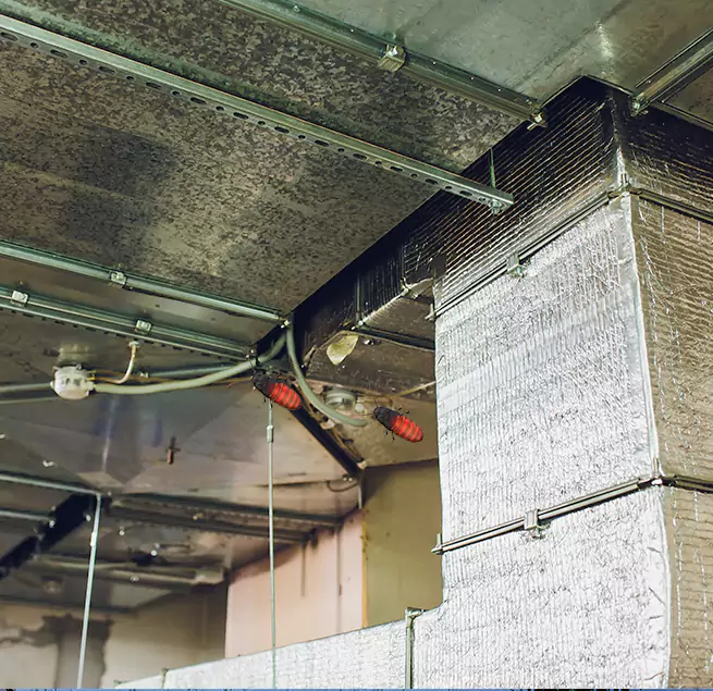 Why Homeowners & Businesses Trust Us in Dunwoody, GA?