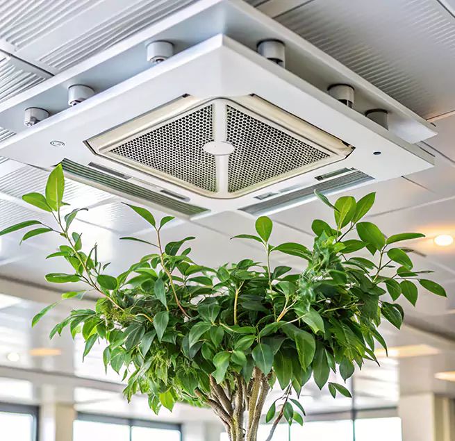 Why Homeowners & Businesses Trust Us in Dunwoody, GA